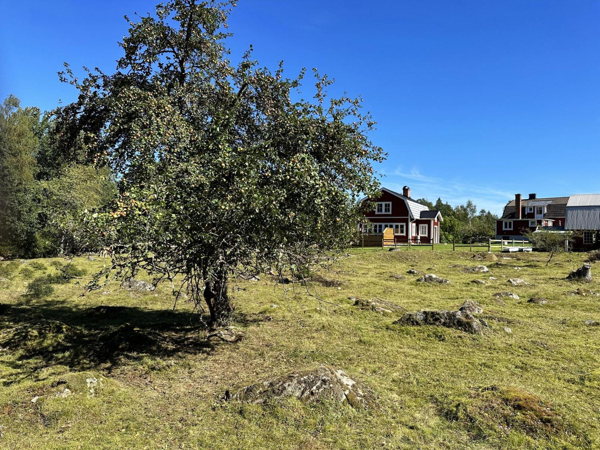 Aengsstugan Urshult Eksteriør bilde